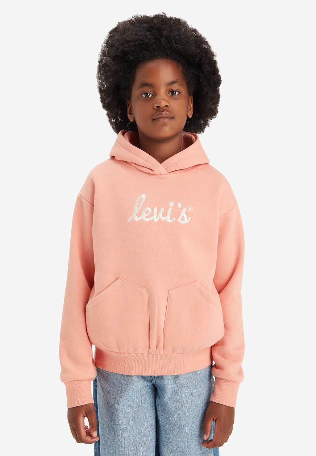 Levi's® POSTER LOGO HOODIE