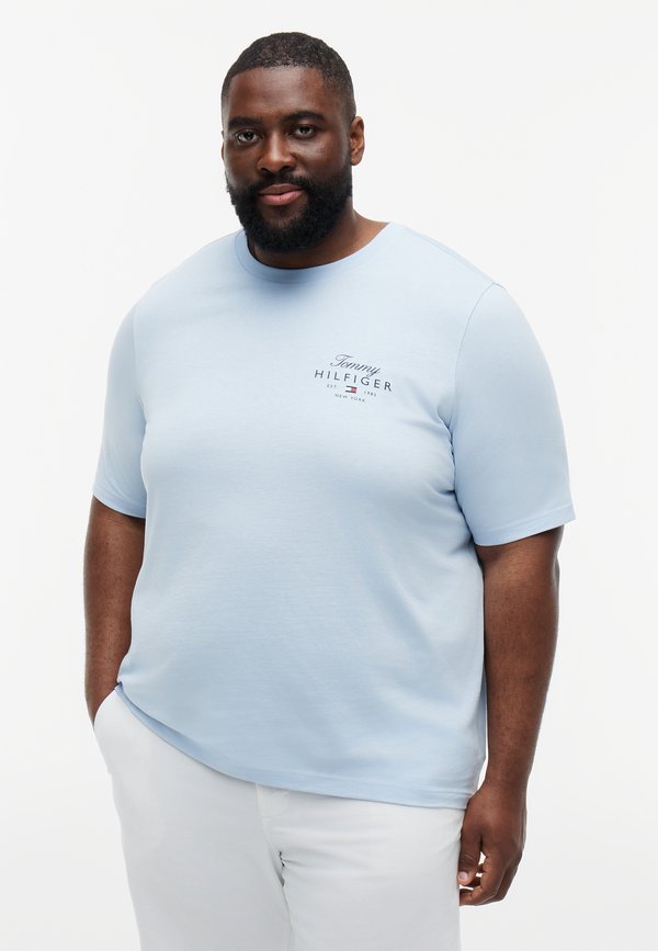 Tommy Hilfiger BT-SCRIPT STACK TEE-B - BRAND LOVE - Basic T-shirt - breezy blue