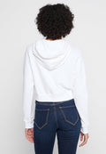 Hollister Co.