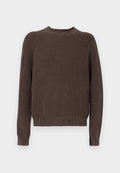 Hollister Co. OMNI BOXY CREW