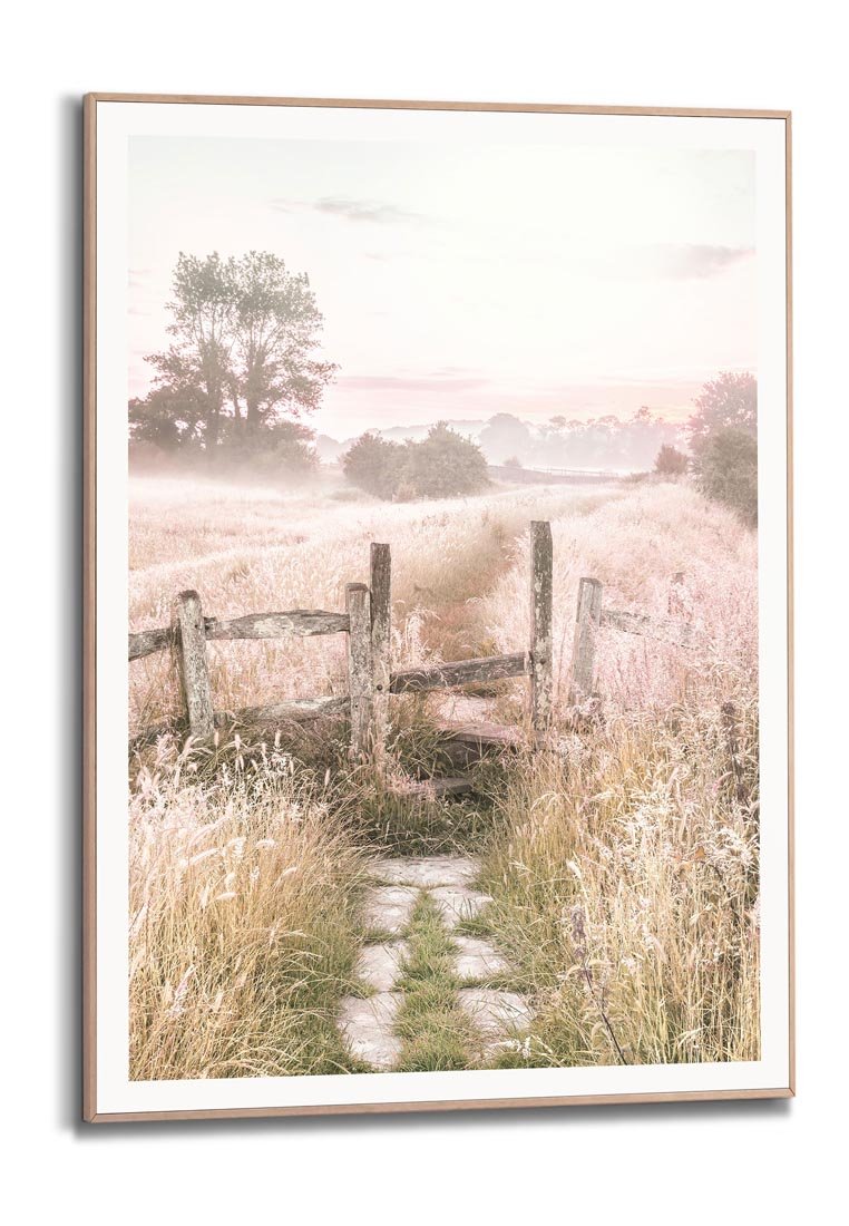 Orange Wallz MORNING MEADOW