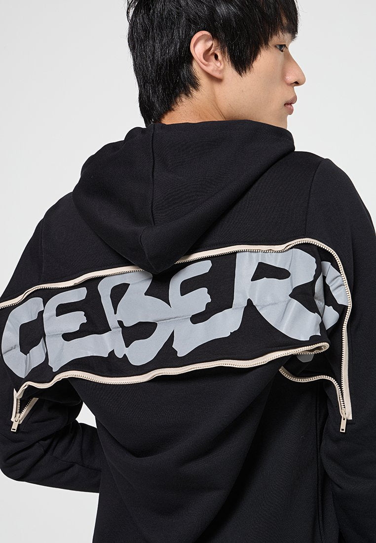 Iceberg FELPE