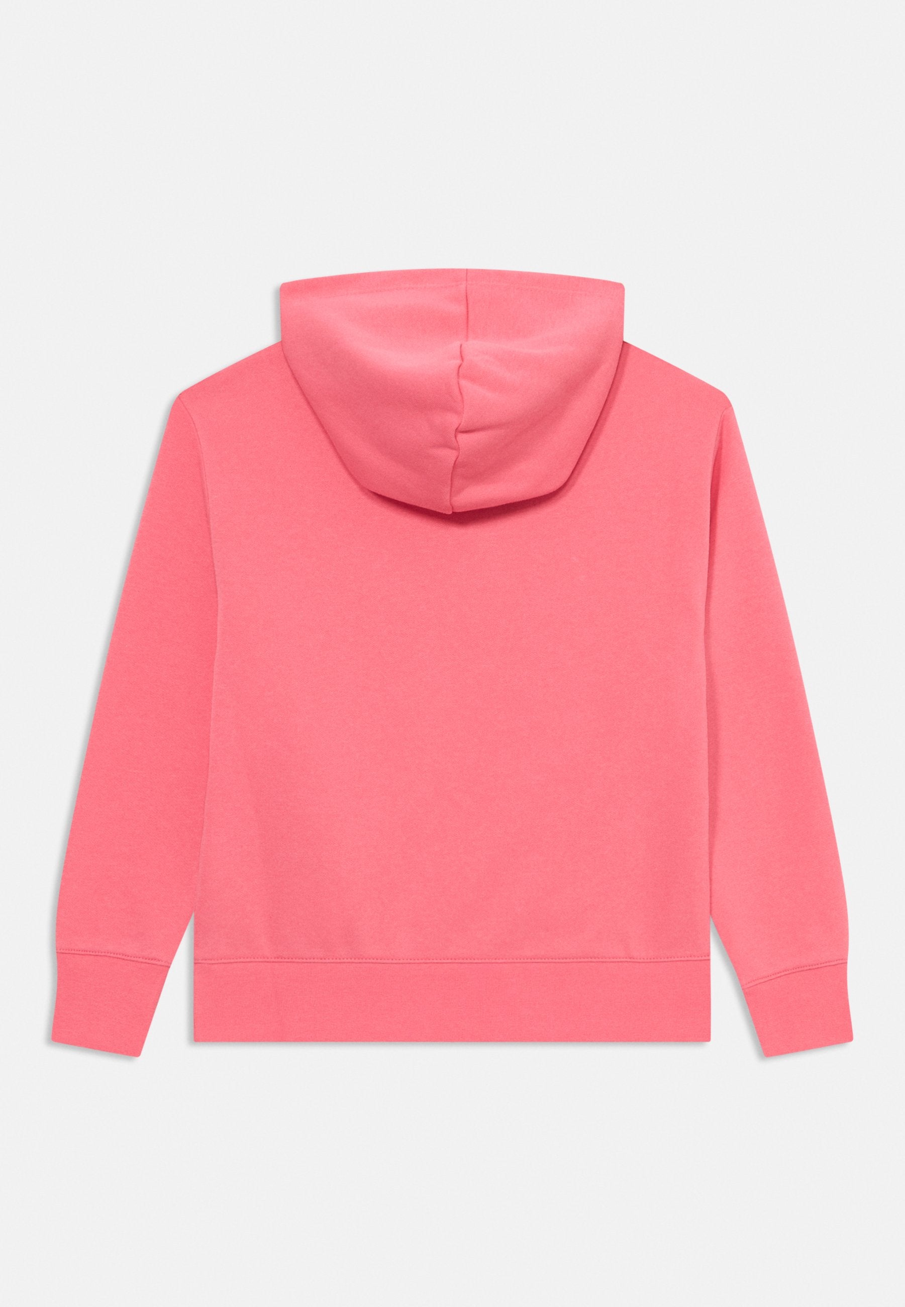 Champion ICONS HOODIE