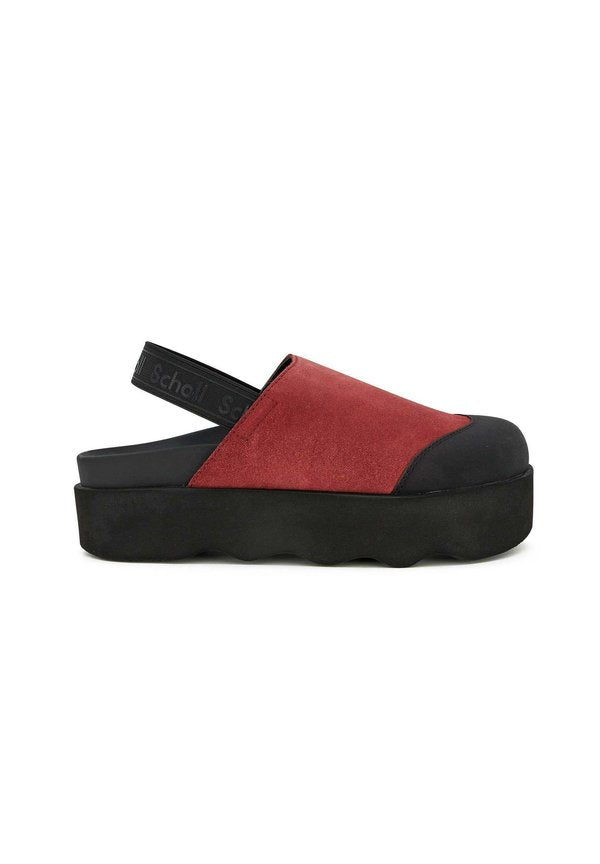 Scholl ABBY