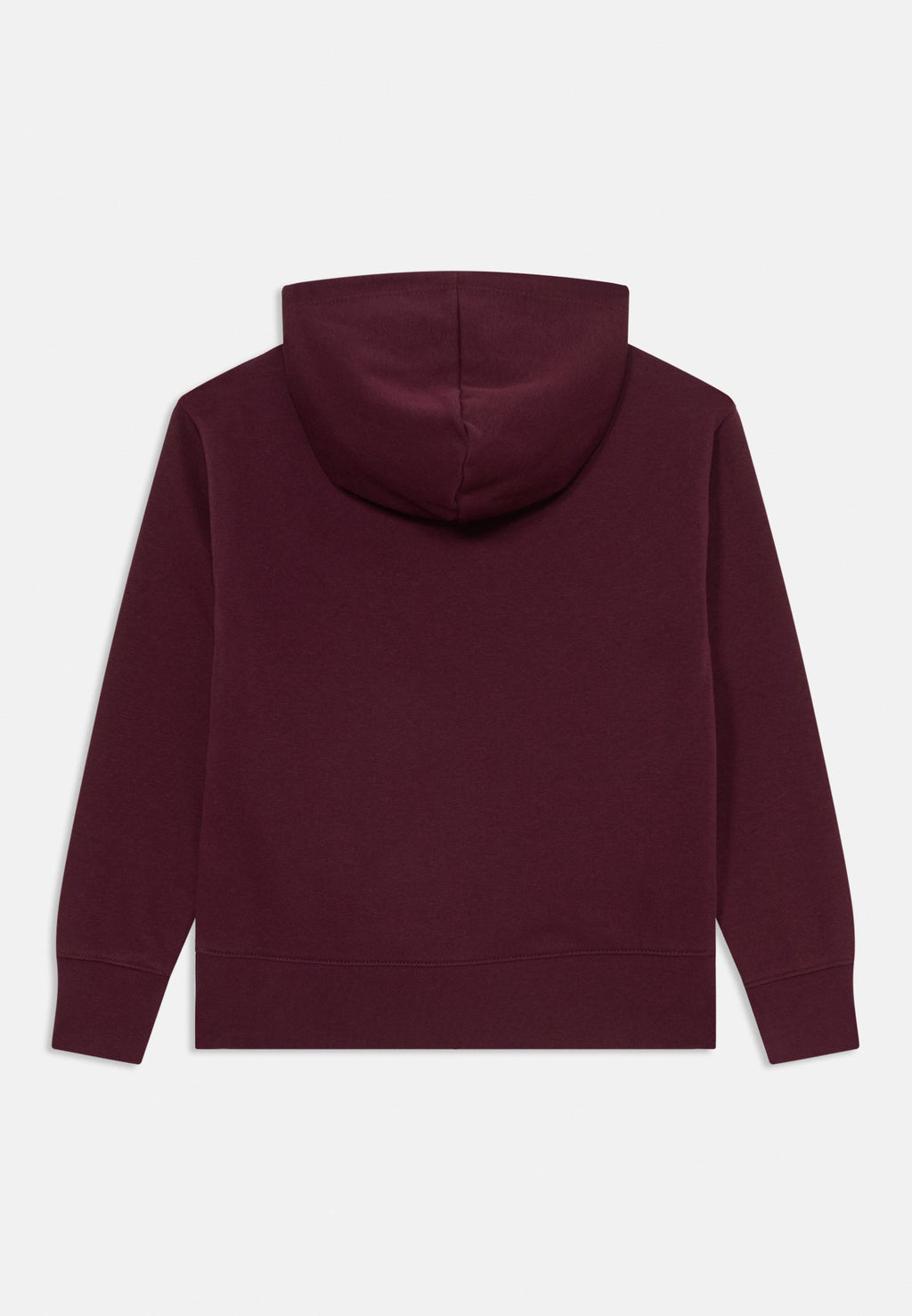 Champion ICONS HOODIE