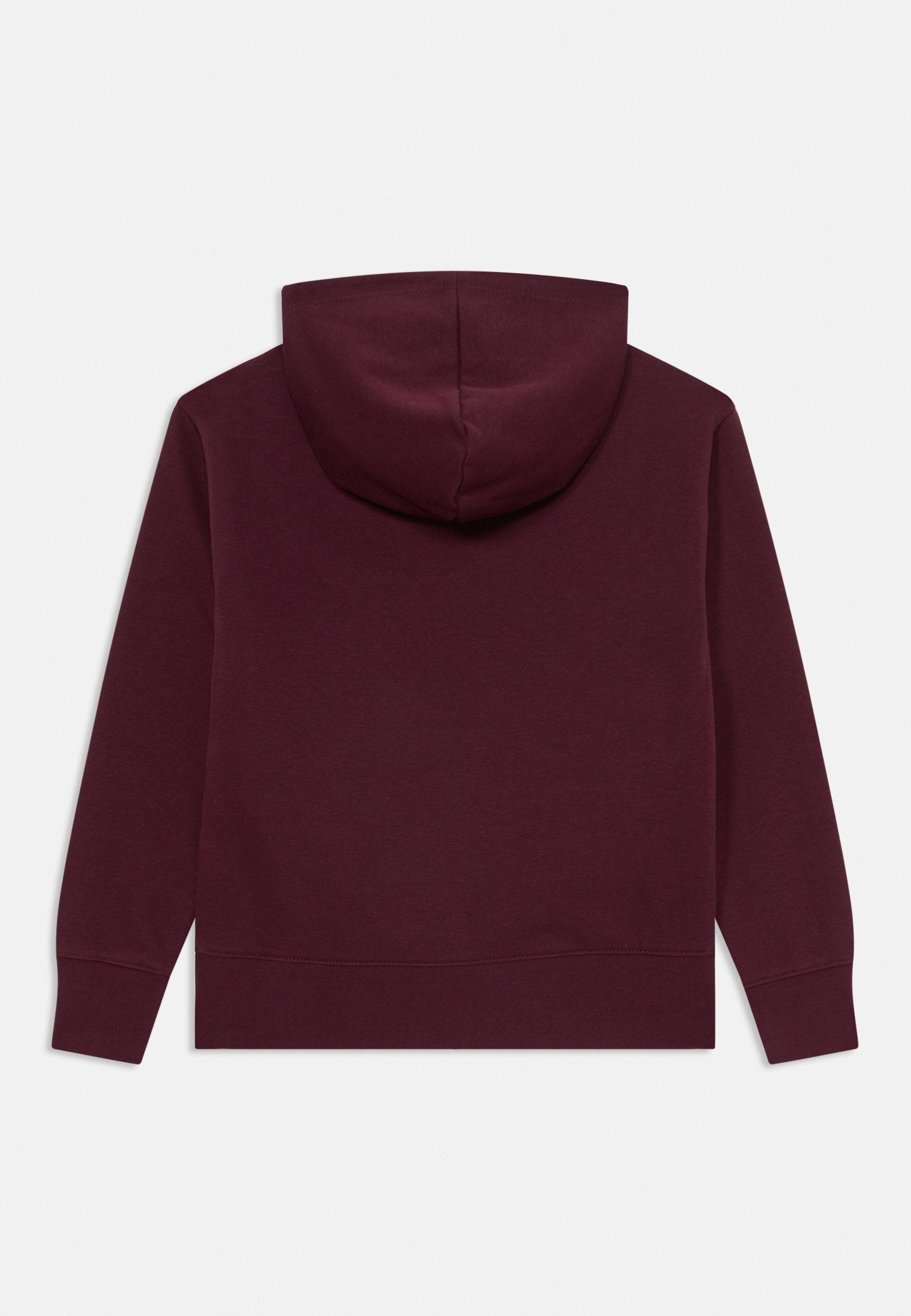 Champion ICONS HOODIE