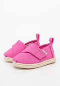 TOMS CLASSIC
