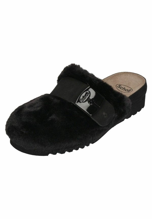 Scholl ALASKA