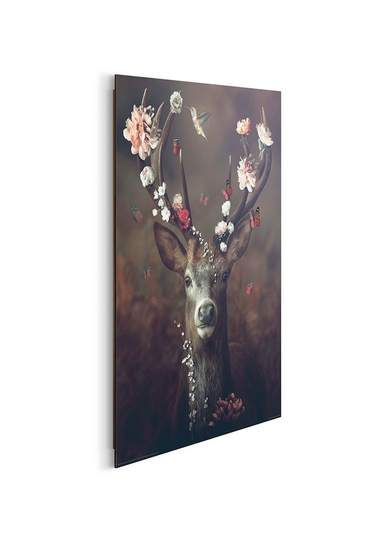 Orange Wallz FAUNA FLORA DEER