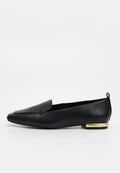 ALDO PONY