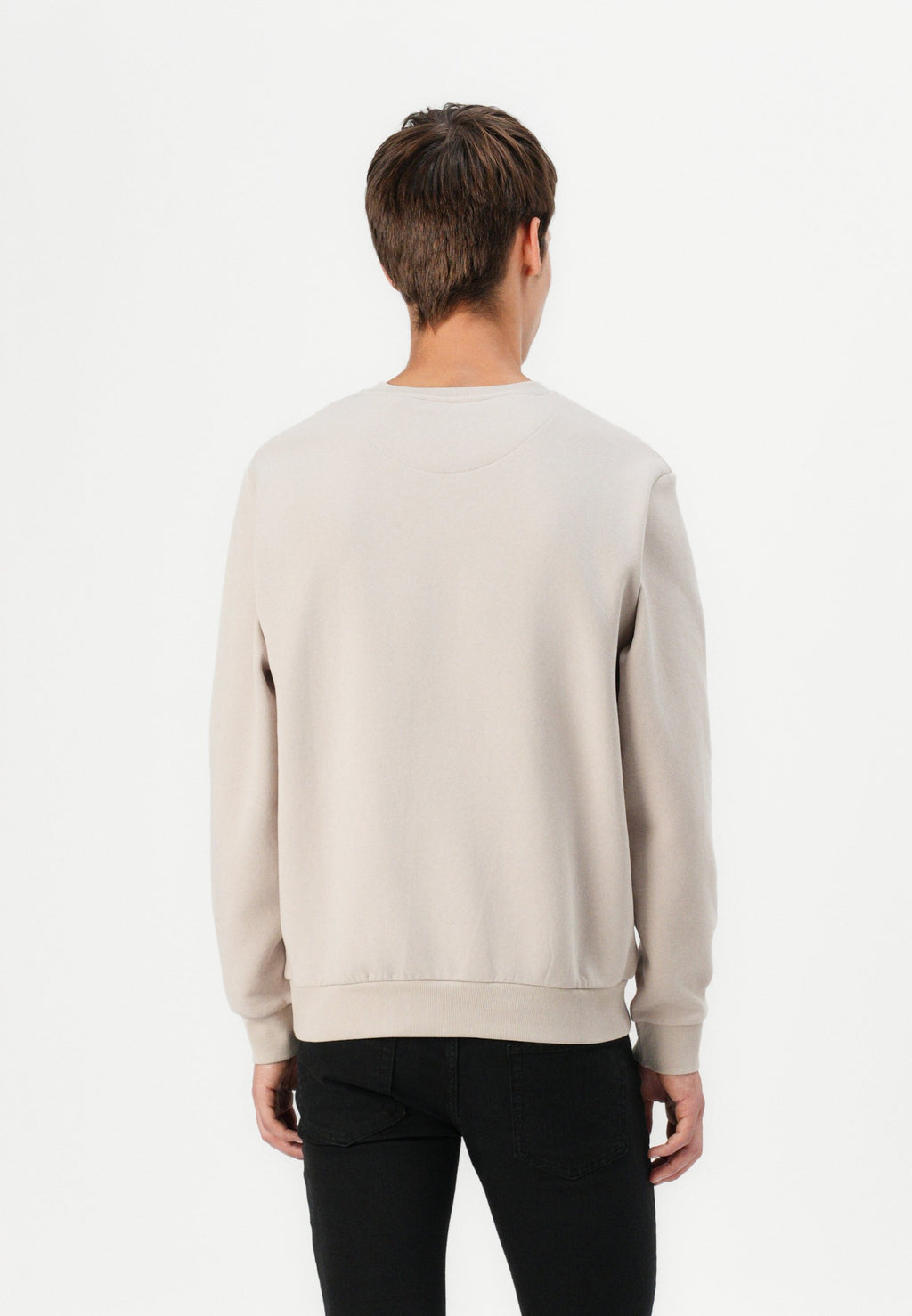 Jack & Jones JJEBRADLEY SWEAT CREW NOOS