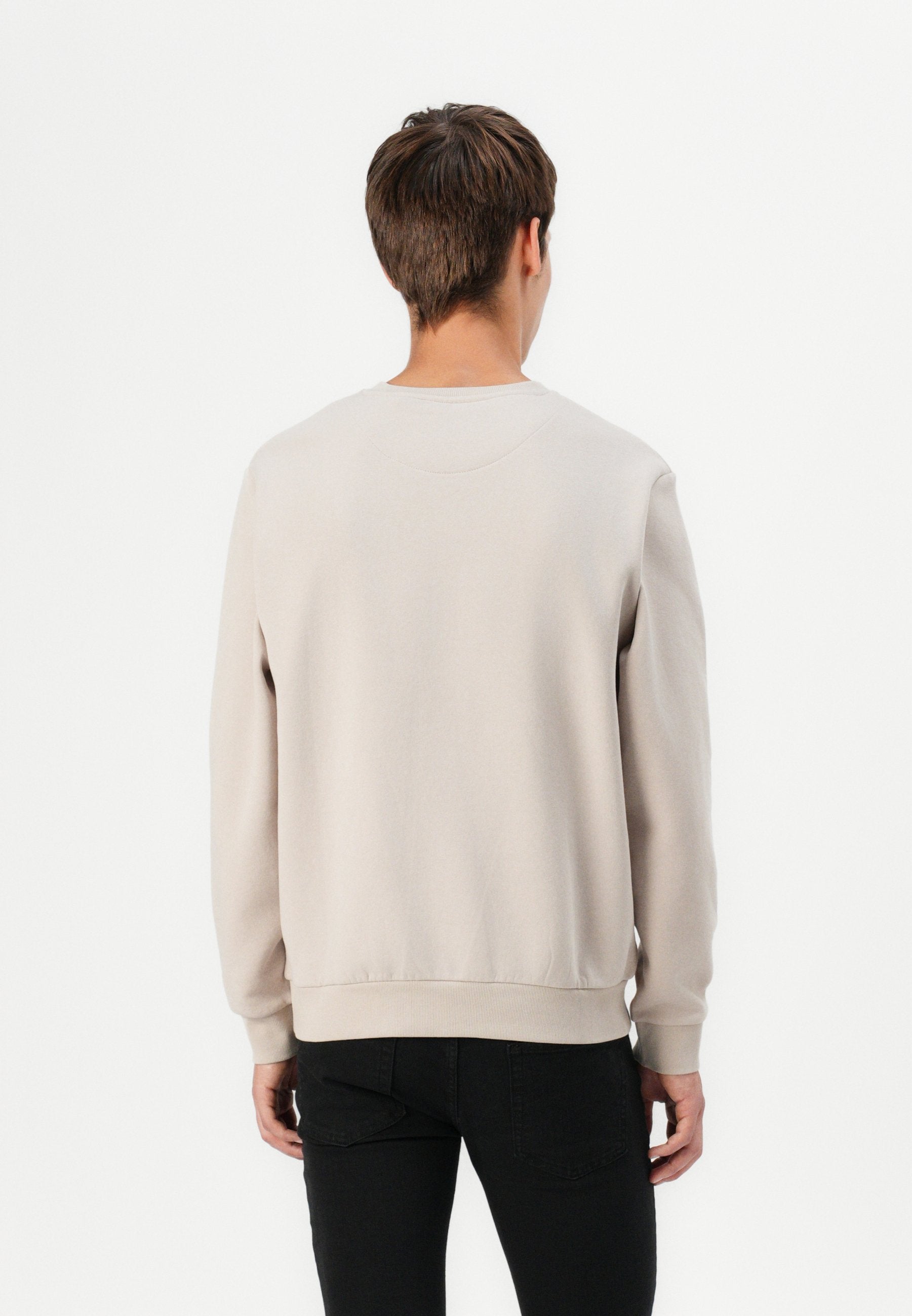 Jack & Jones JJEBRADLEY SWEAT CREW NOOS