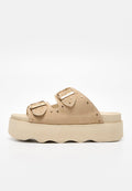 Scholl HEATHER