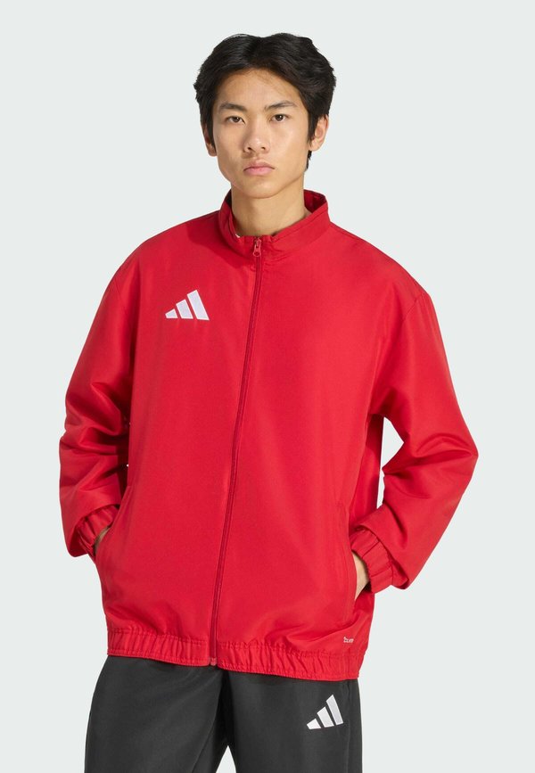 adidas Performance ADIDAS PERFORMANCE ENTRADA26 PRESENTATION JACKET - Training jacket - team power red white