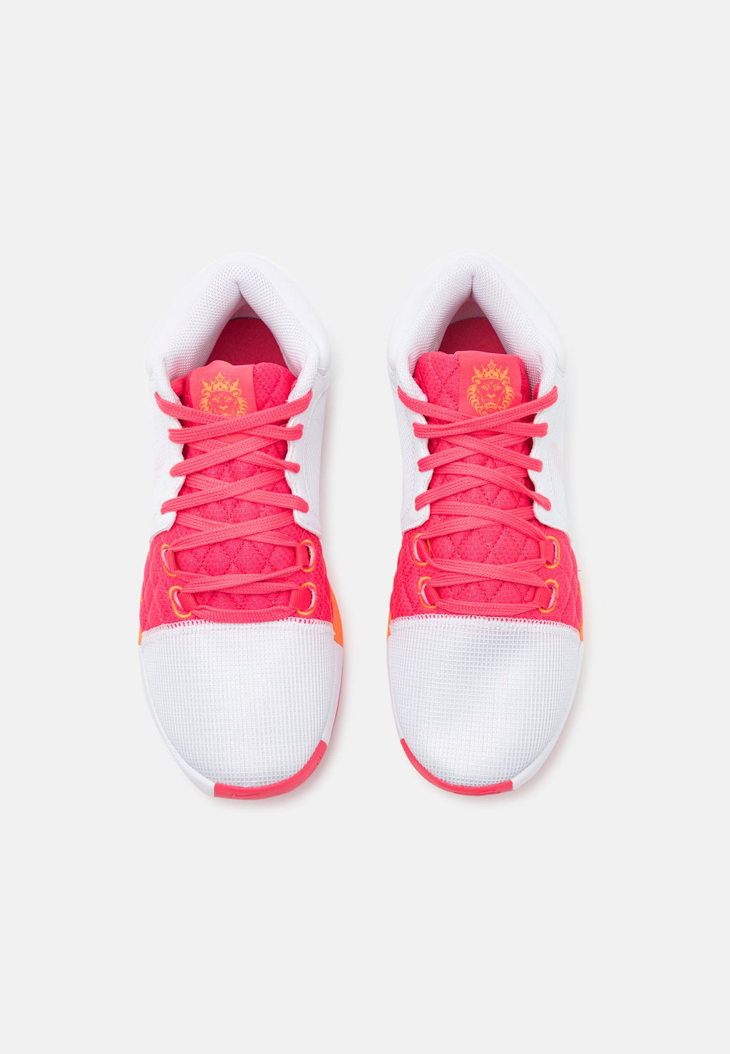 Nike Performance LEBRON WITNESS