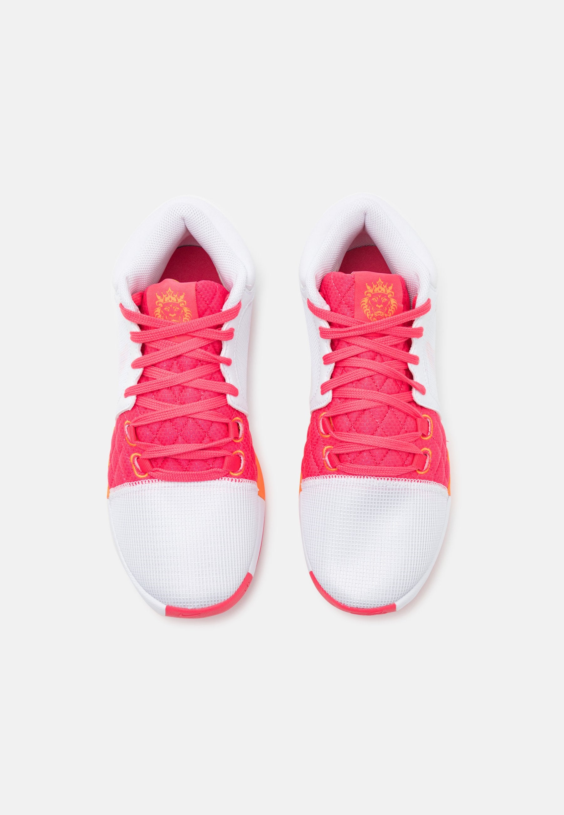 Nike Performance LEBRON WITNESS