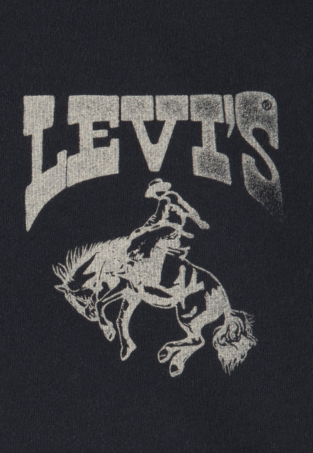 Levi's® RODEO READY HOODIE