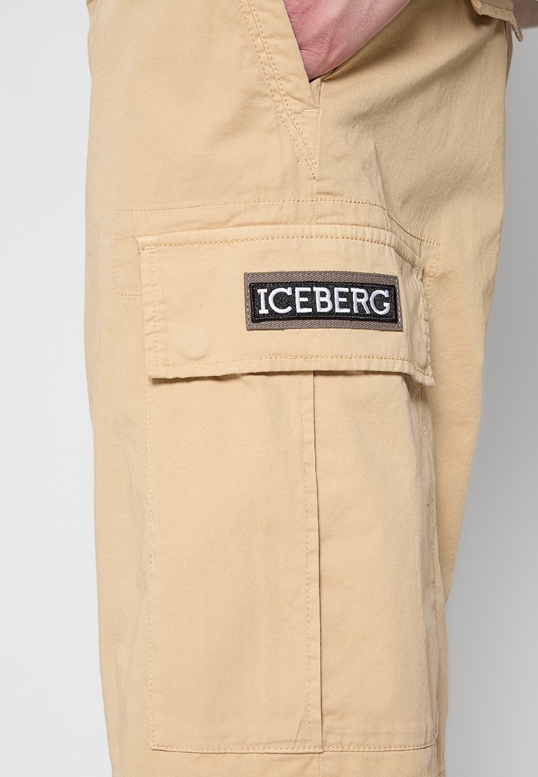 Iceberg