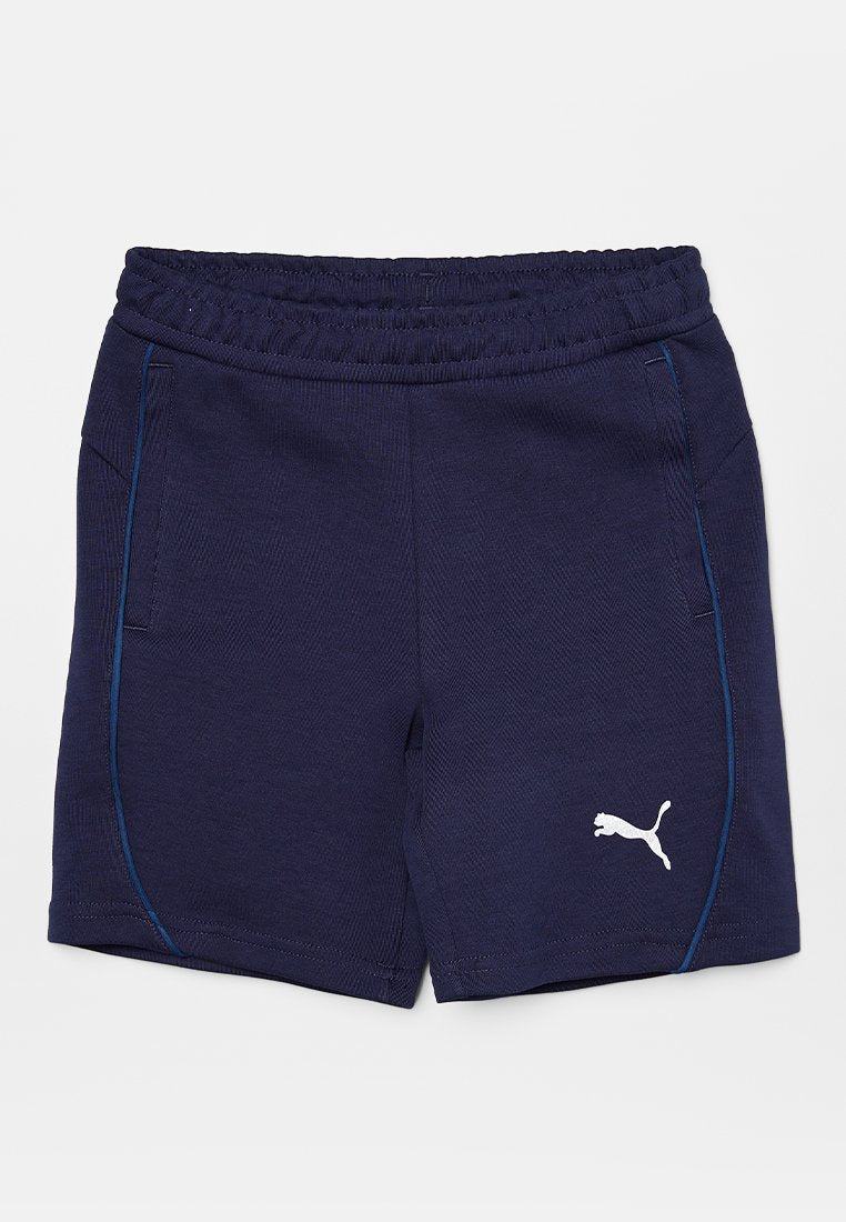 Puma TEAMFINAL