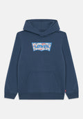 Levi's® ON THE ROAD BATWING HOODIE