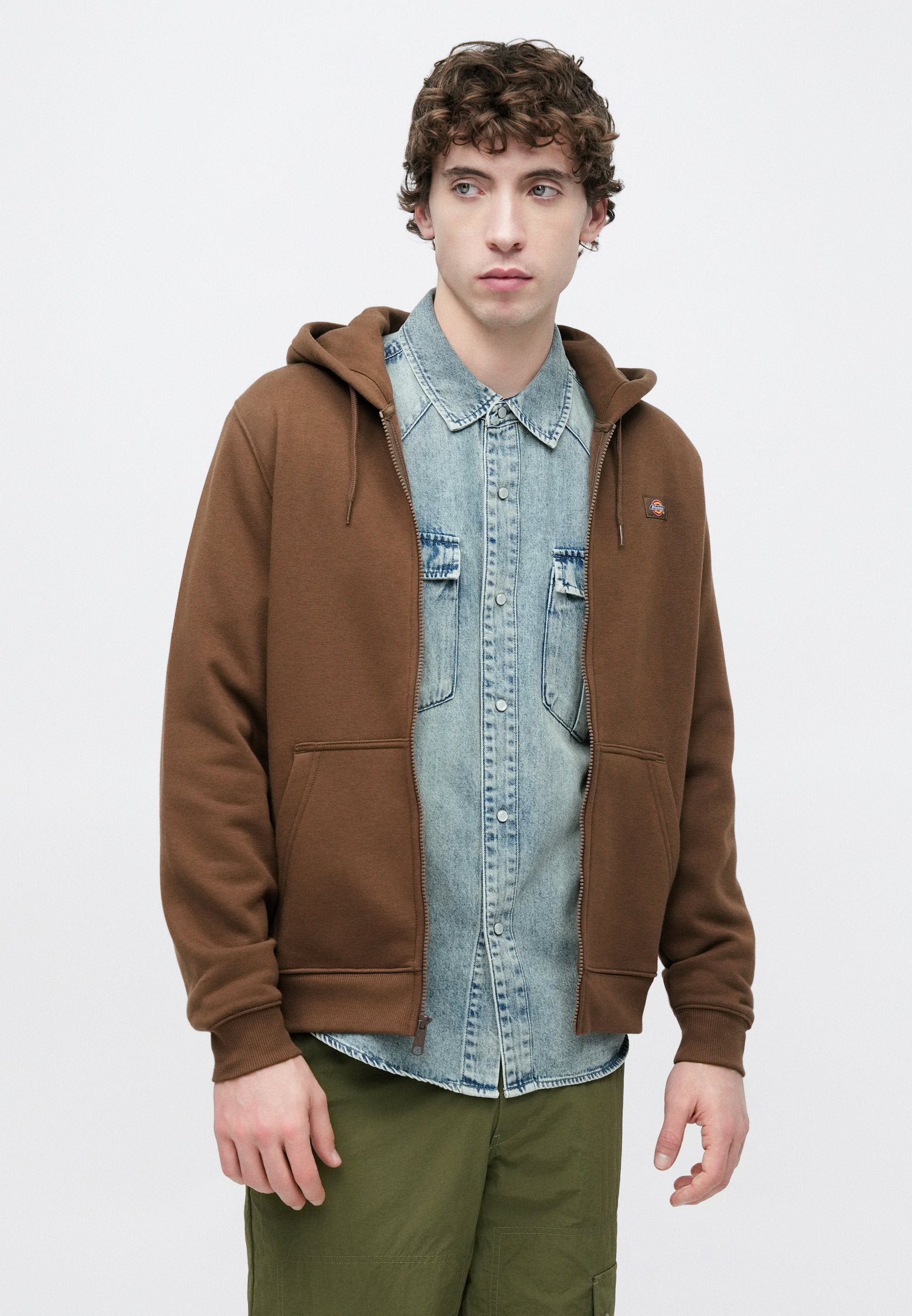 Dickies OAKPORT ZIP HOODIE