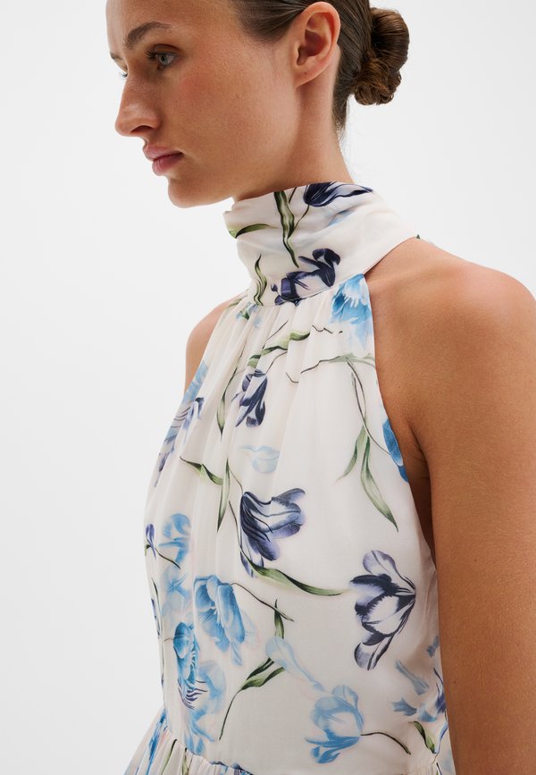 Malina FERN