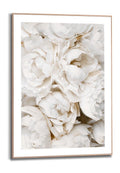 Orange Wallz BED OF WHITE ROSES