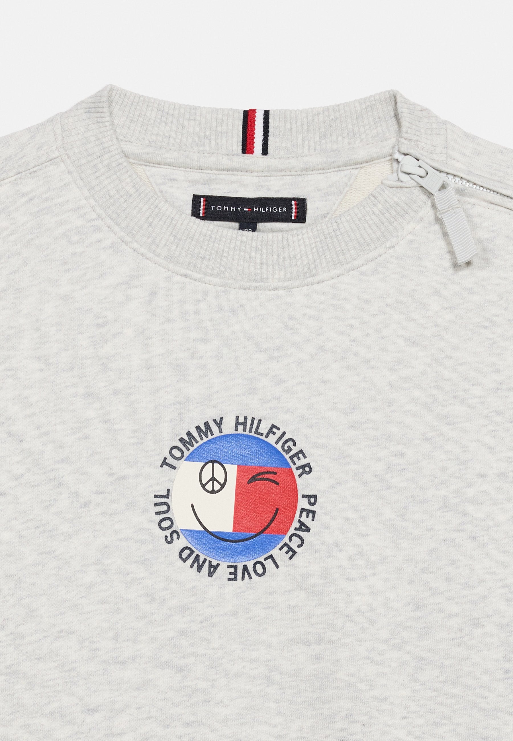 ADAPTIVE SMILEY FLAG LOGO TERRY SWEATSHIRT Media 3