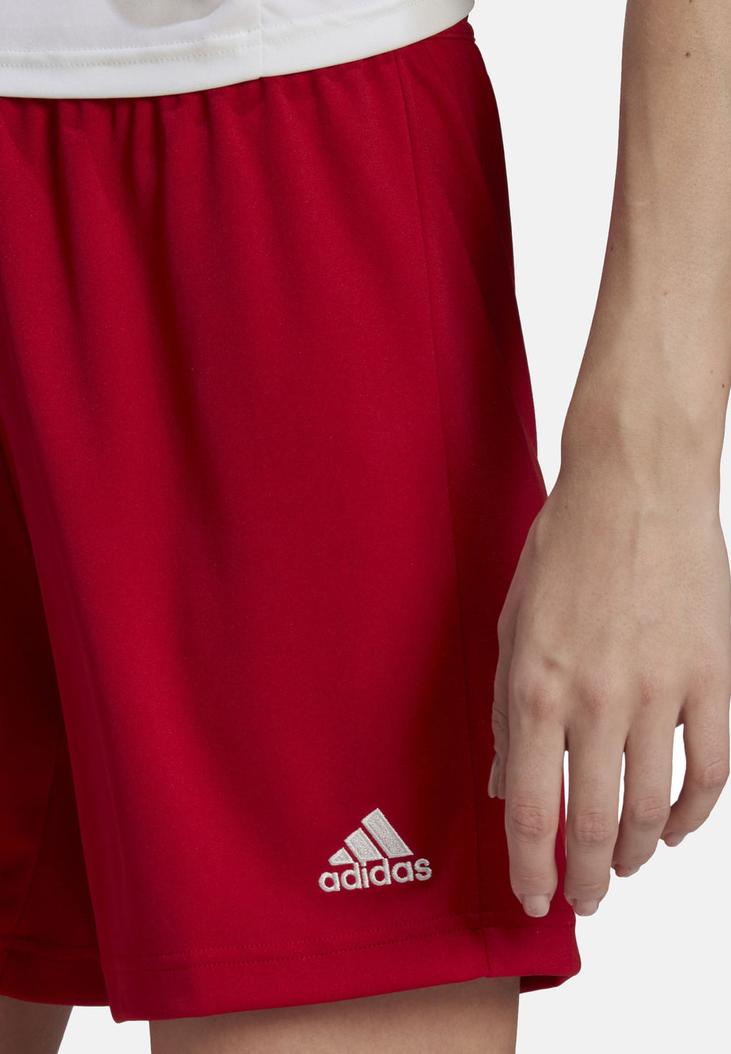 adidas Performance ENTRADA22 SHORTS