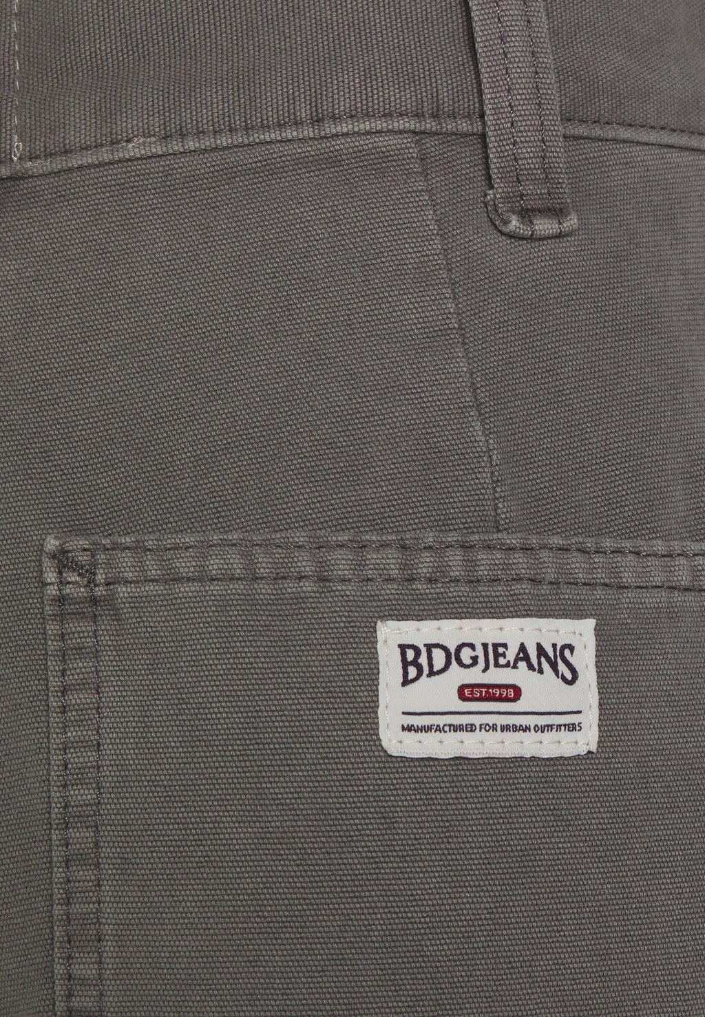 BDG Urban Outfitters PANEL CARPENTER