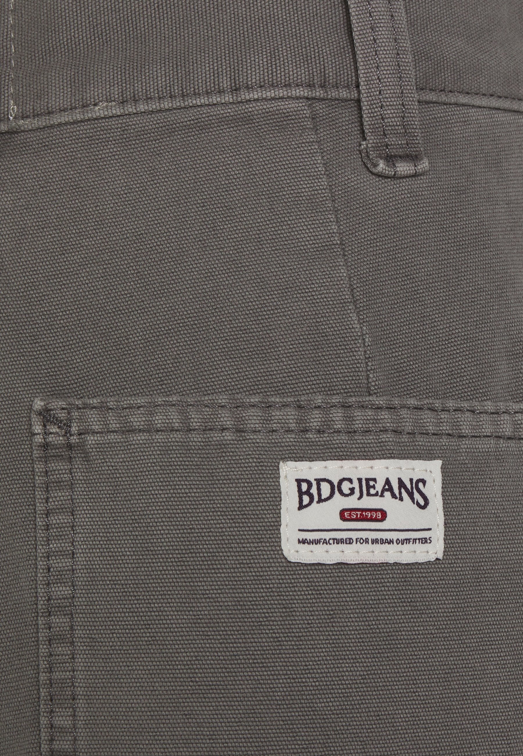 BDG Urban Outfitters PANEL CARPENTER