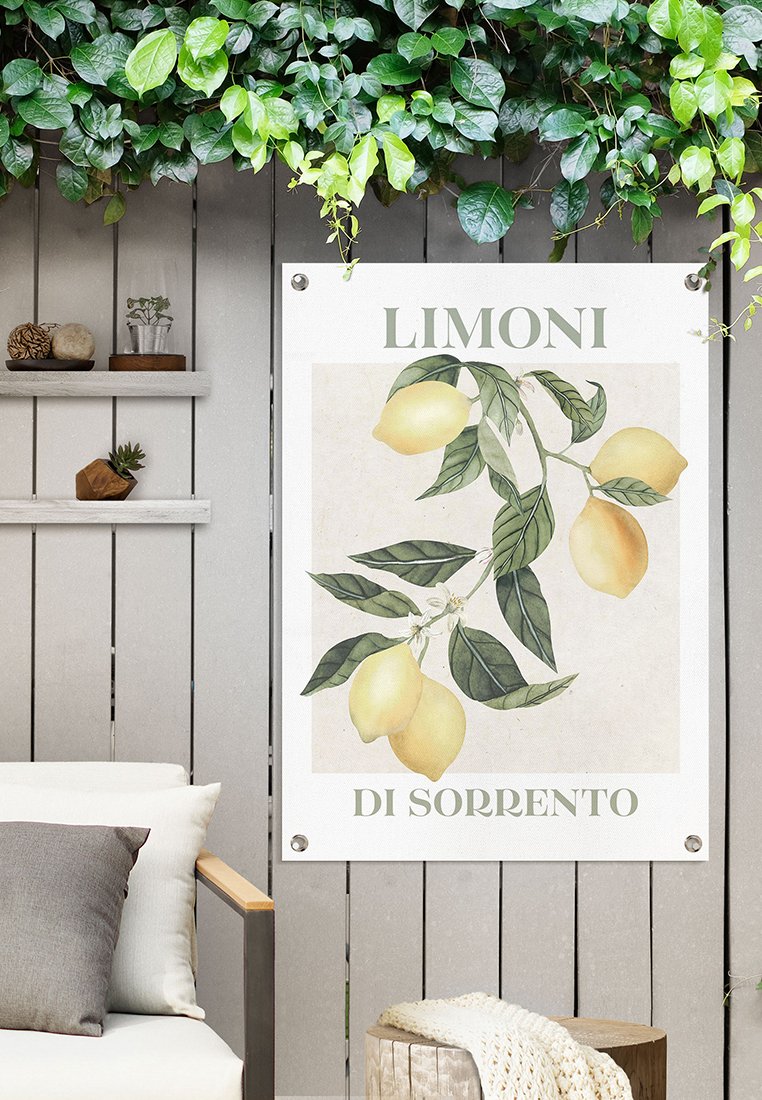 Orange Wallz LIMONI DI SORRENTO