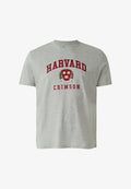 s.Oliver Print T-shirt - grau meliert