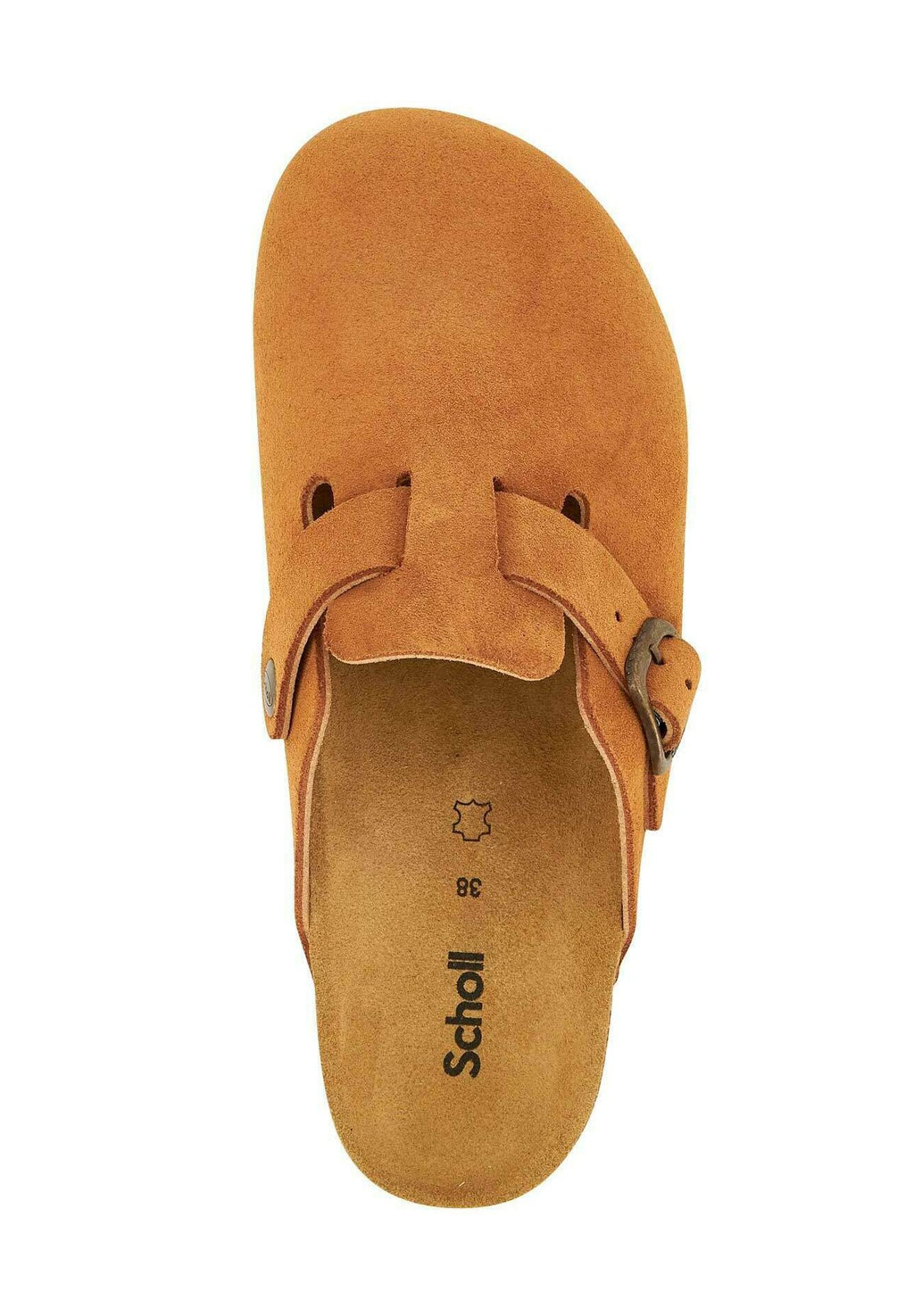 Scholl FAE NEW