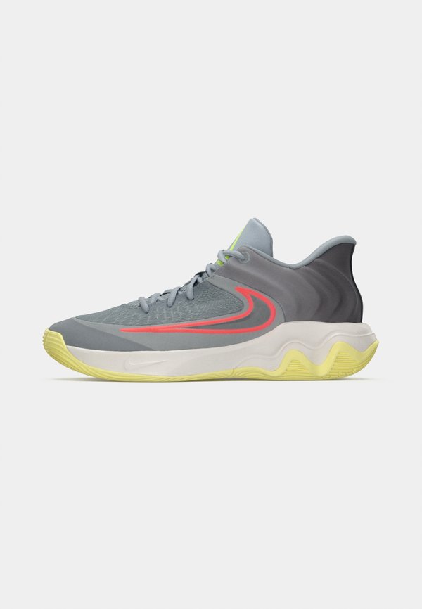 Nike Performance GIANNIS IMMORTALITY 4 - Basketball shoes - wolf grey/metallic silver-coloured/summit white