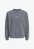 Jack & Jones JJESOHO SWEAT CREW NECK NOOS - Sweatshirt - turbulence