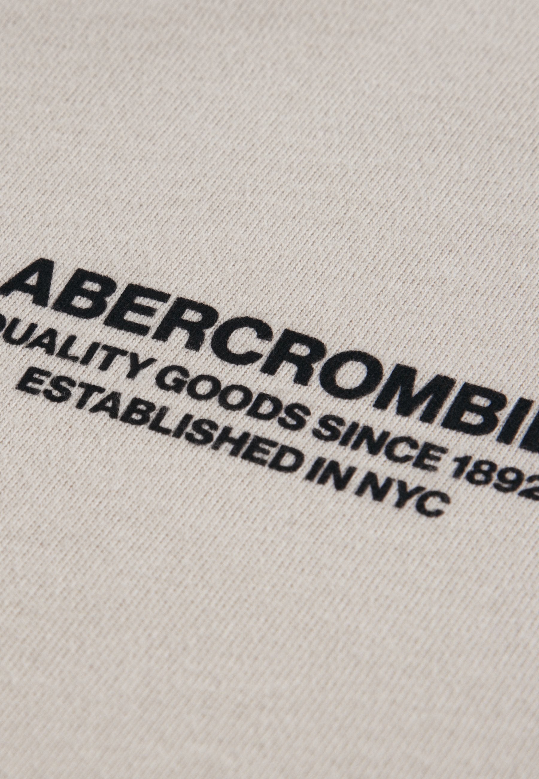 Abercrombie & Fitch BANK SHOT TEE