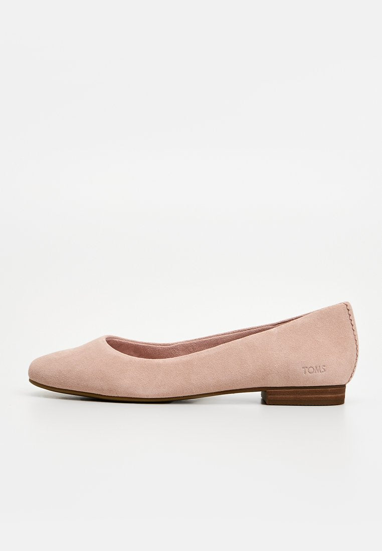TOMS BRIELLA