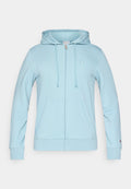 Champion ICONS TONAL FULL ZIP HOODIE