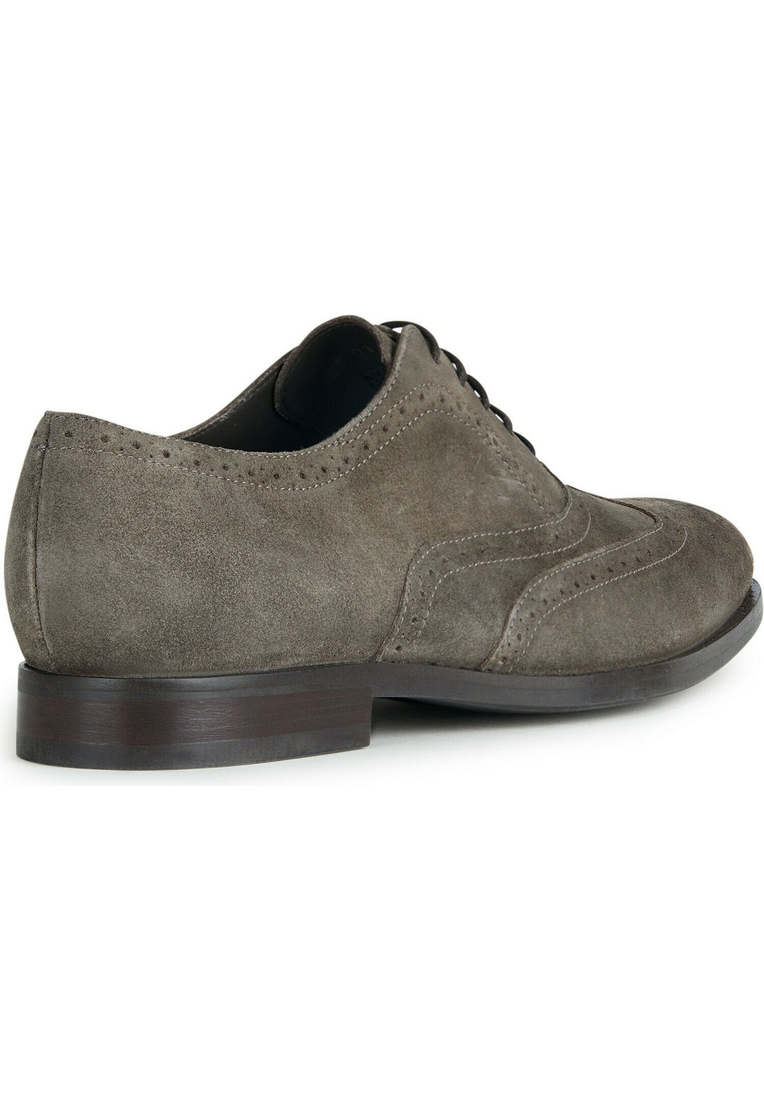 Geox U HAMPSTEAD