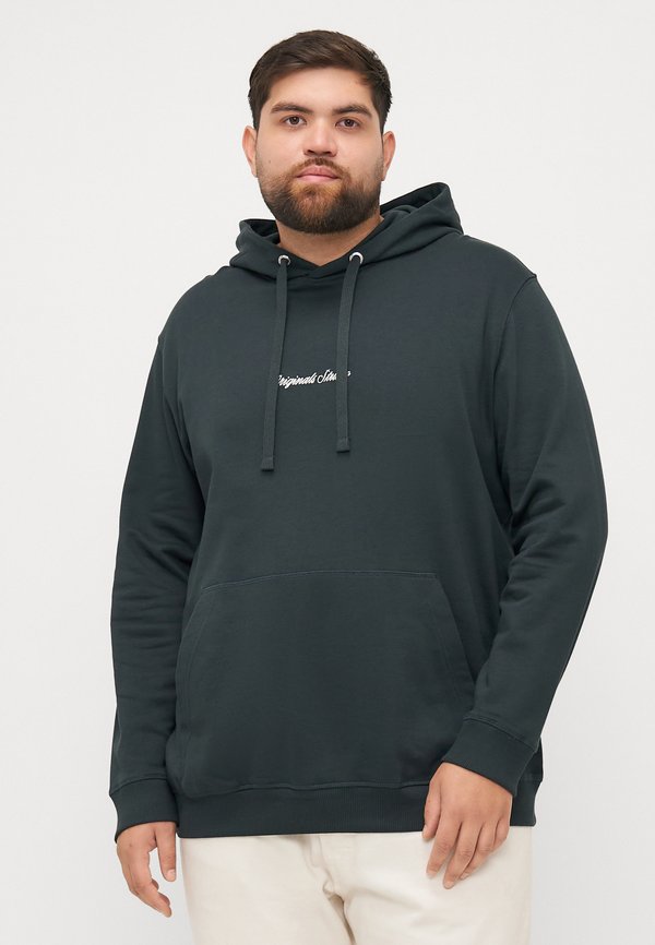 Jack & Jones JORNORREBRO EMB SWEAT HOOD PLS - Hoodie - forest river