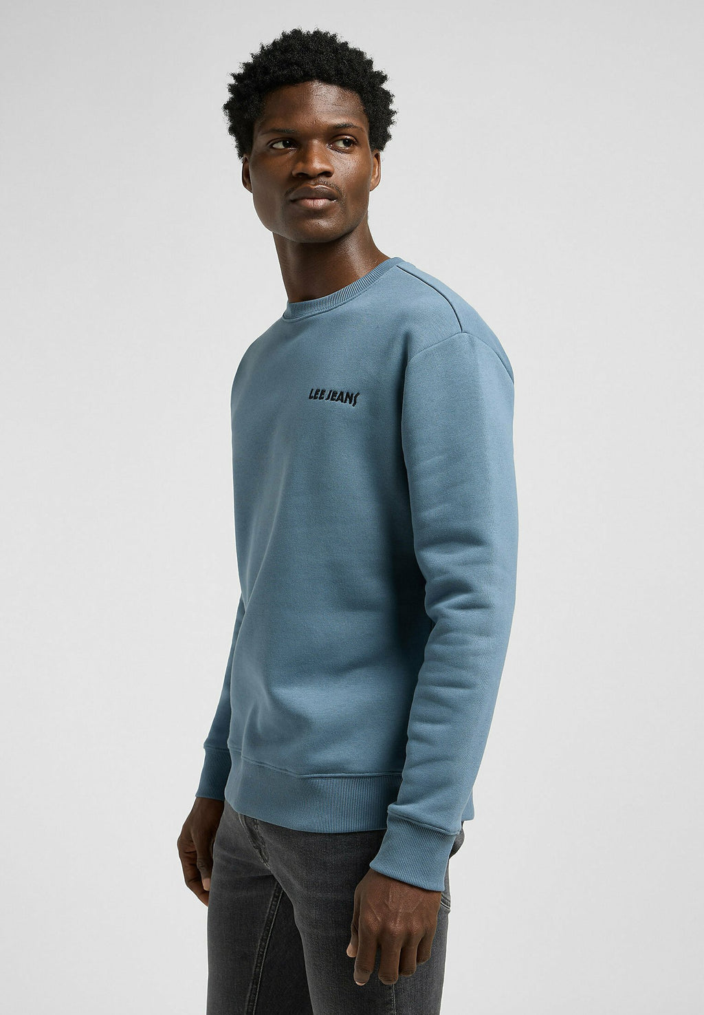 Lee LONG SLEEVE CORE REGULAR FIT