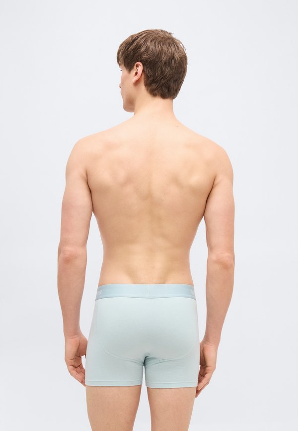 Hollister Co. FLY FRONT NEUTRAL 5 PACK