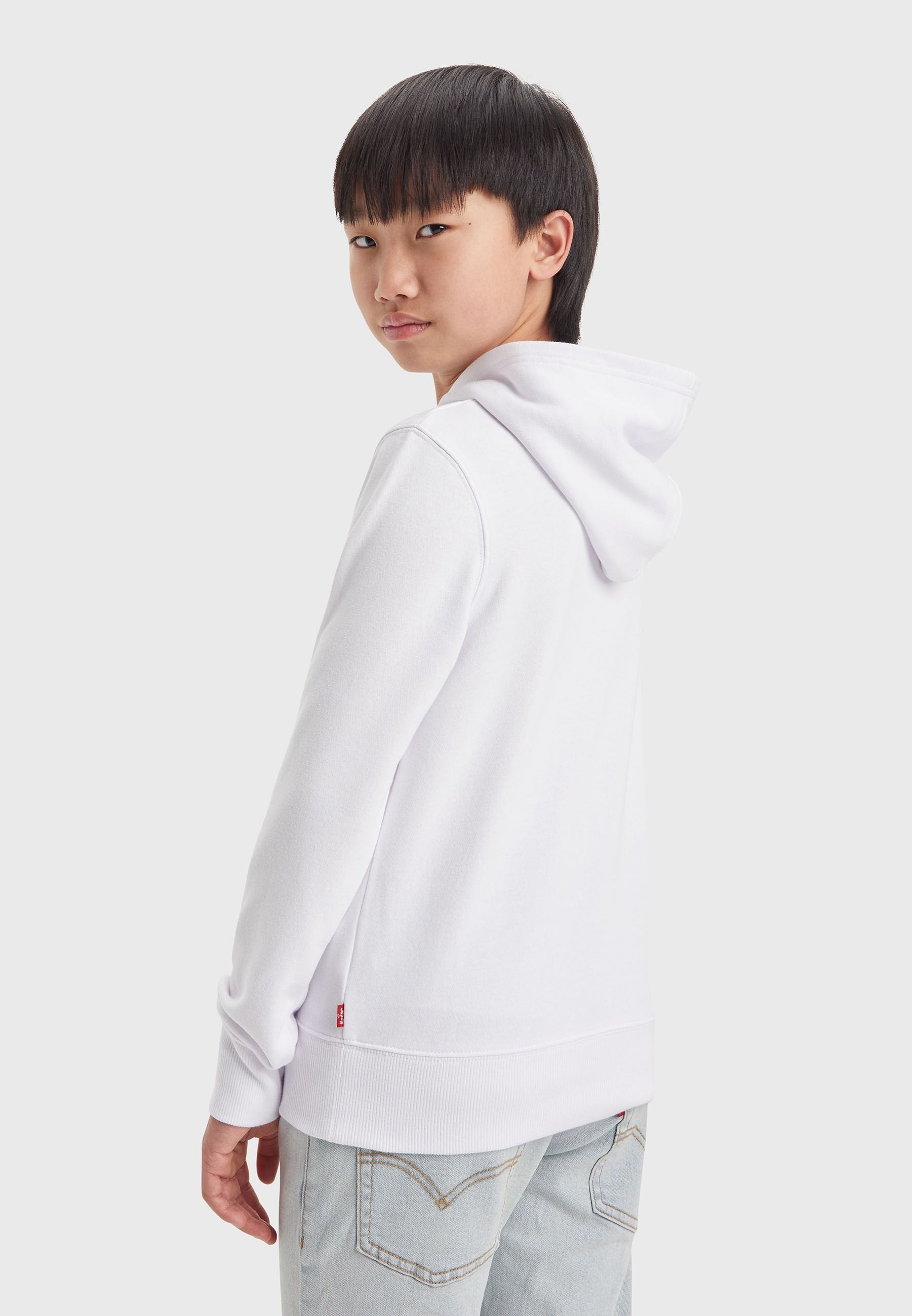 Levi's® PALM BATWING FILL HOODIE