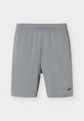 Nike Performance FLEX SHORT - Sports shorts - smoke grey/black