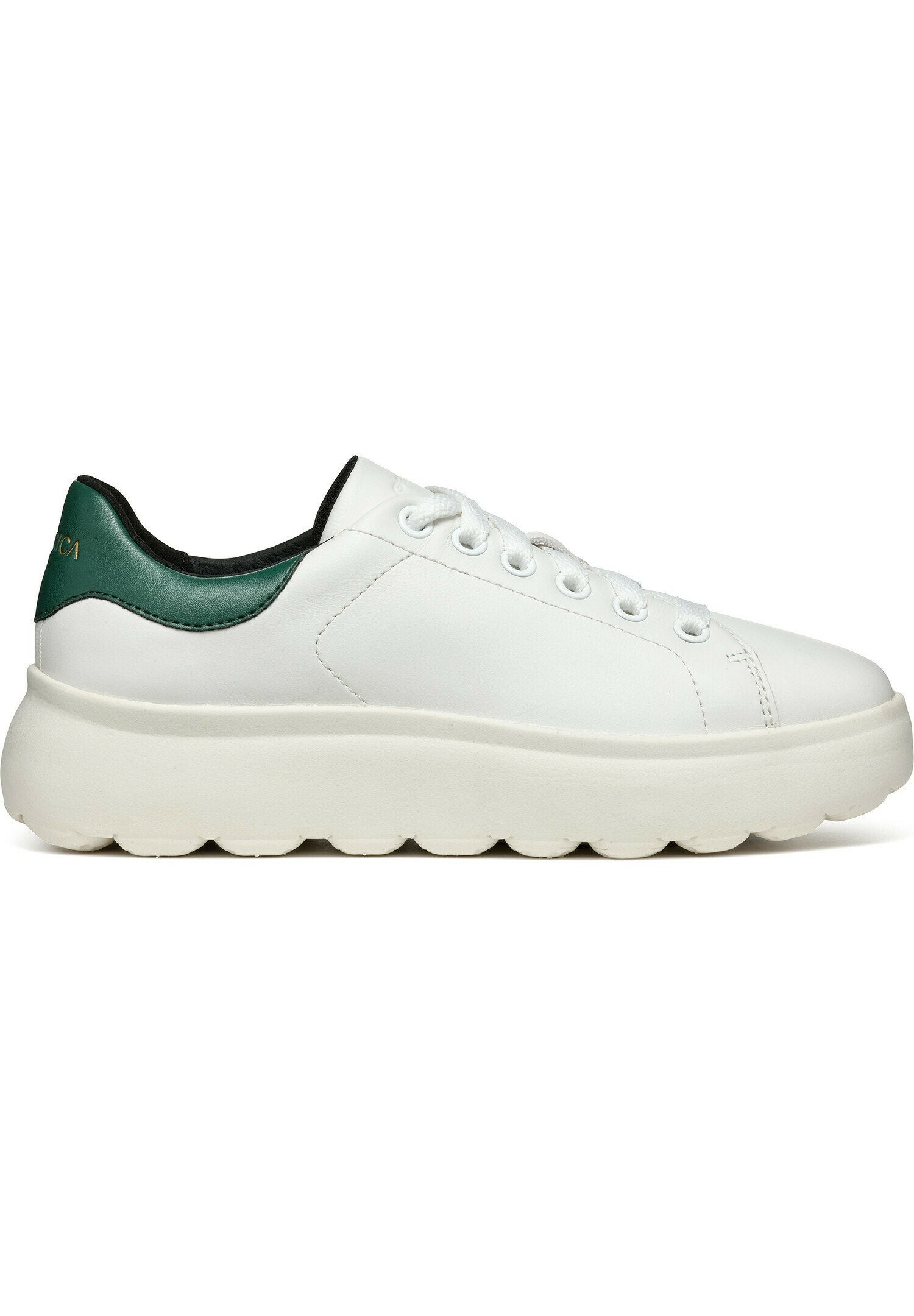 Weißes Leder-Sneaker mit grünem Akzent an der Ferse, runder Zehenpartie, Schnürdesign und einer strukturierten Gummiplattformsohle.