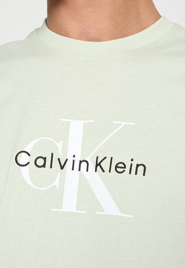 Calvin Klein Jeans SS HERO MONOLOGO TEE 20S