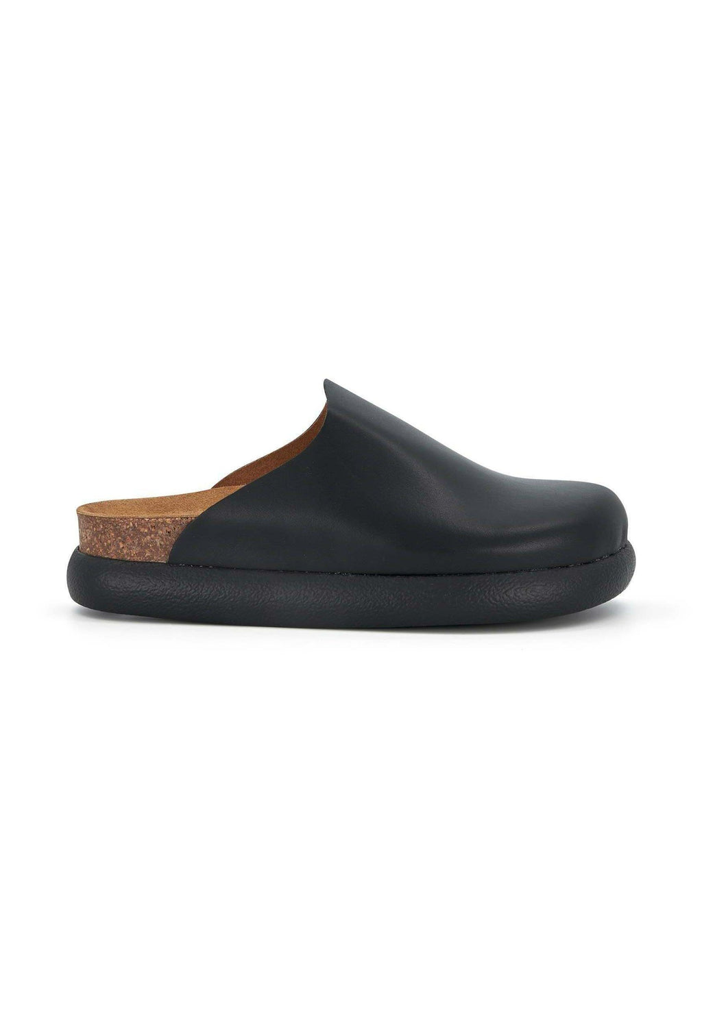 Scholl  IVY 2.0