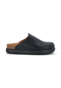 Scholl  IVY 2.0