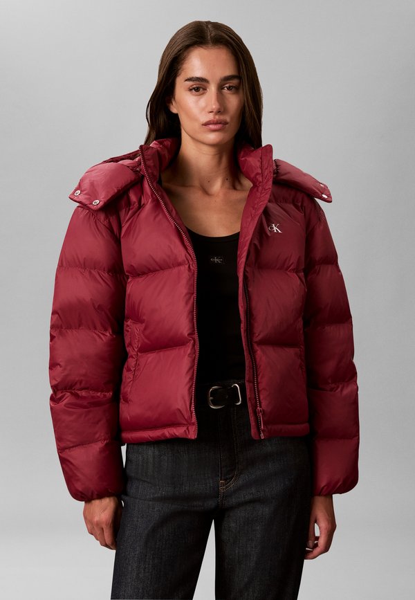 Calvin Klein Jeans ESSENTIAL SHORT PUFFER - Down jacket - rhododendron